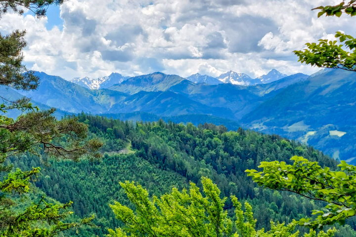 Foto: Thomas Schönig