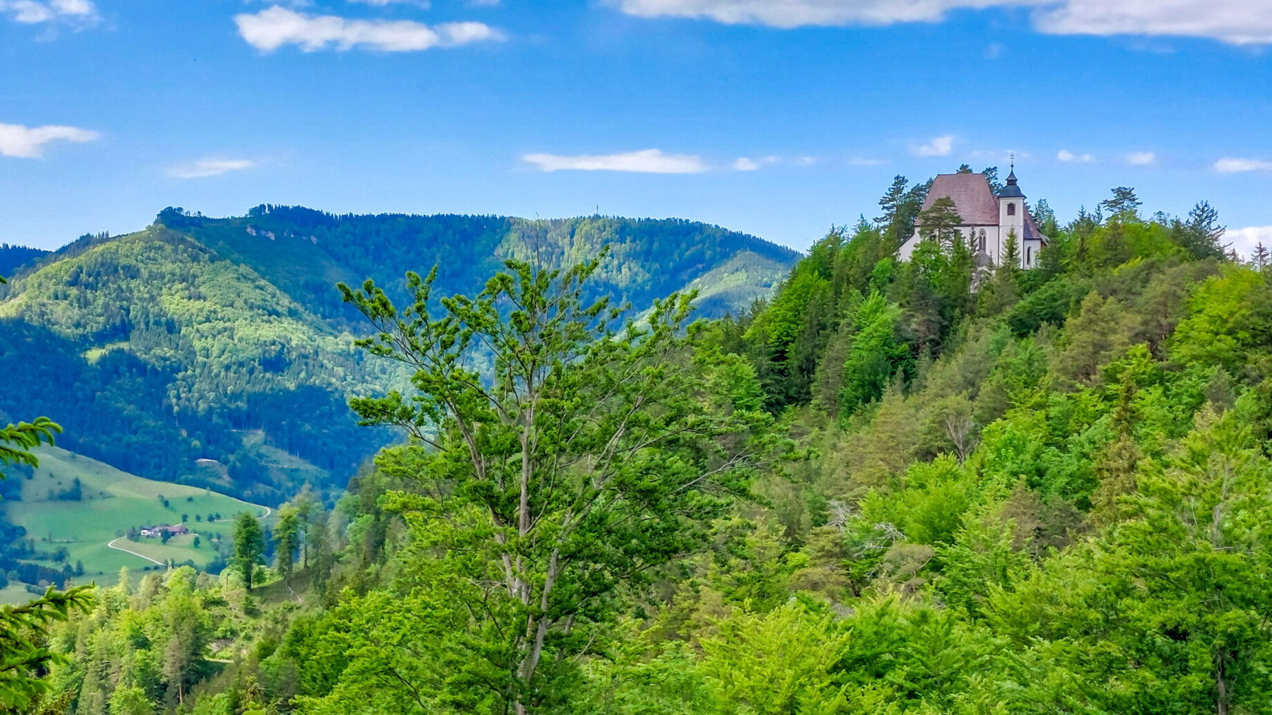 Foto: Thomas Schönig