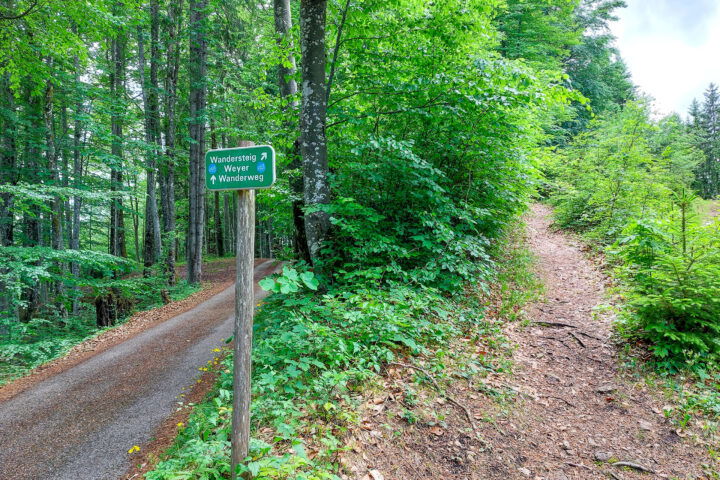 Foto: Thomas Schönig