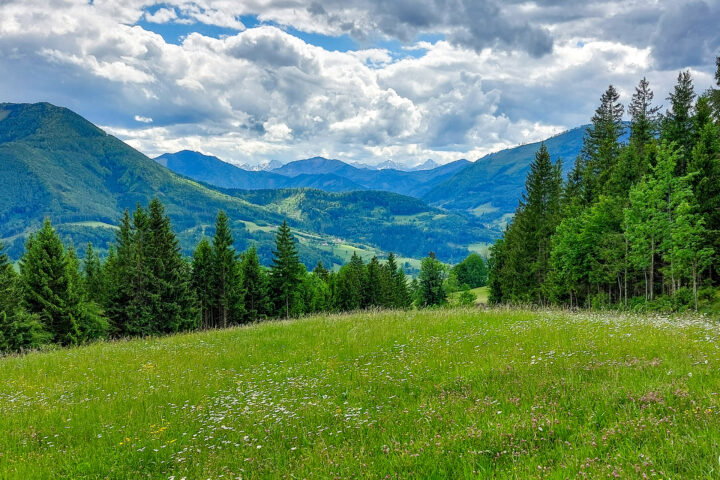 Foto: Thomas Schönig