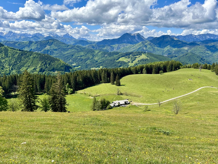 Hinunter zur Gschwendtalm. Foto Veronika Schöll