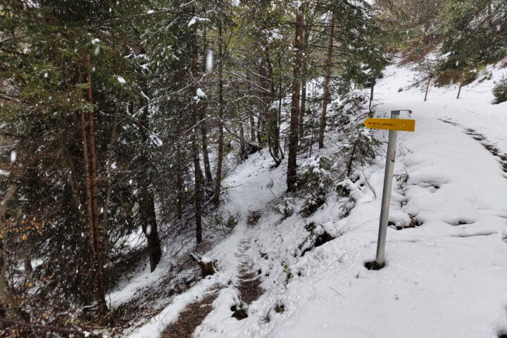 Lackensteig. Foto: Simon Widy