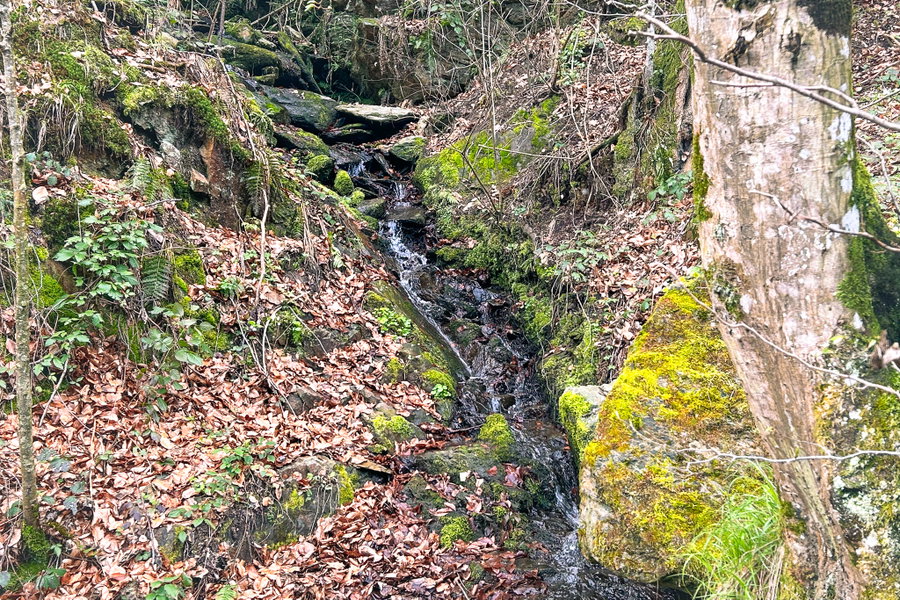 Bachmündung in die Feistritz. Foto: David Kurz