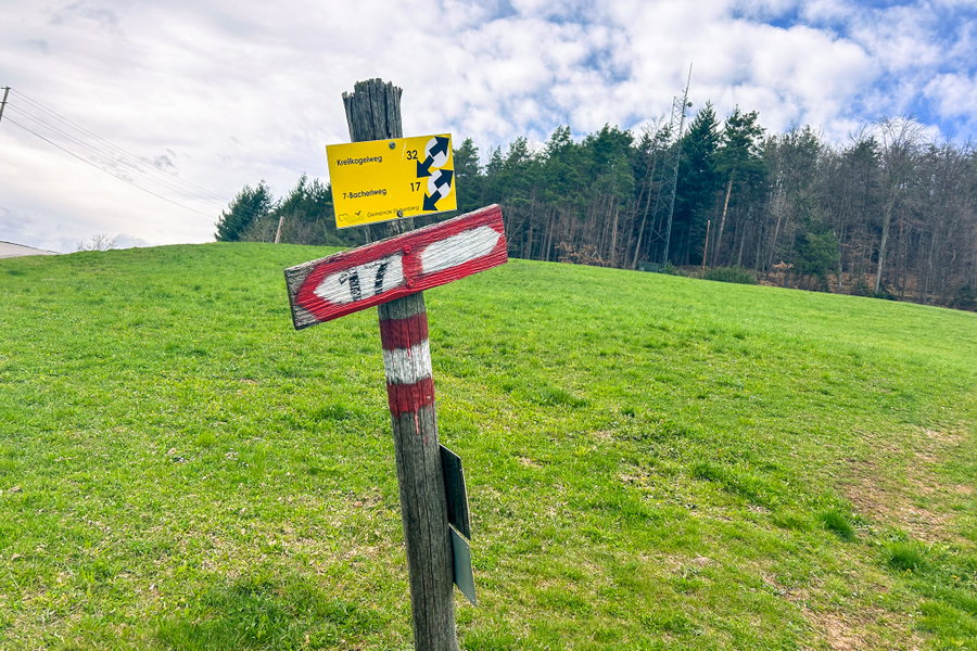 Die Gabelung kurz nach dem Bauernhaus. Foto: David Kurz