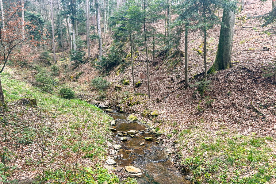Auf der Brücke des Schmidbachs. Foto: David Kurz