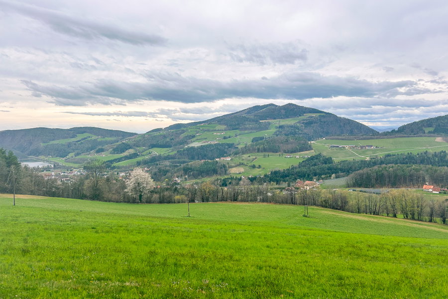 Am Waldrand ist der Stubenbergsee schon in Sichtweite. Foto: David Kurz