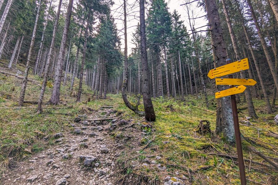 Hier laufen die beiden Wege zusammen. Foto: Maresa Brandner