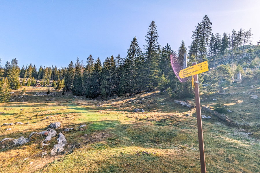 Auf dem Hochplateau des Untersbergs angekommen. Foto: Maresa Bandner