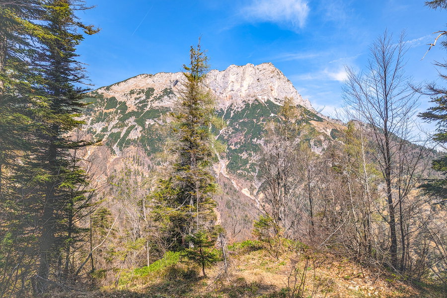 Rückblick zum Berchtesgadener Hochthron. Foto: Maresa Brandner