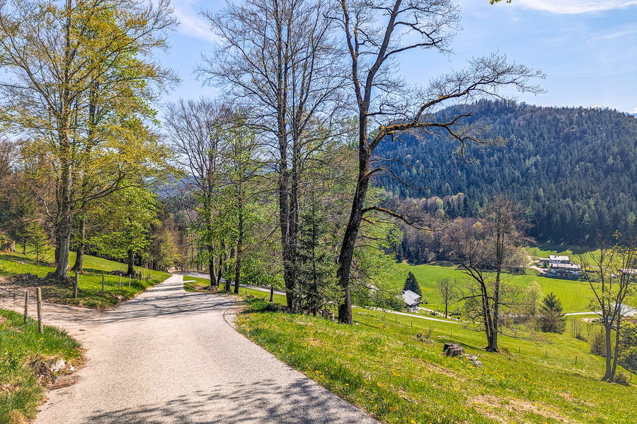 Der Weg führt nun teilweise über Asphaltstraßen. Foto: Maresa Brandner