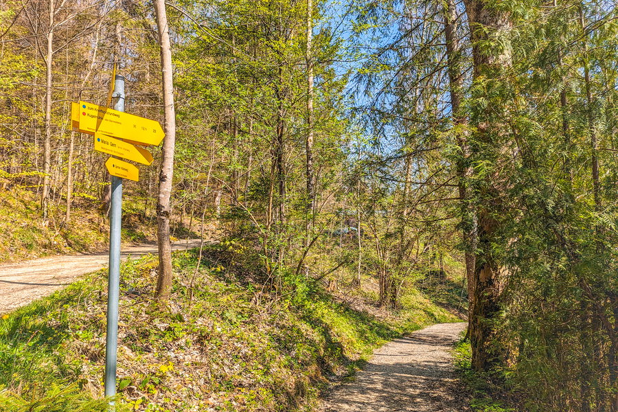 Hinterm Dürrlehen zweigt der Weg nach links ab. Foto: Maresa Brandner