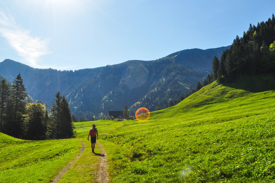Vor uns die Sattelalpe, im Hintergrund der Dornbirner First, Mörzelspitze links. Foto: Norman und Lisa