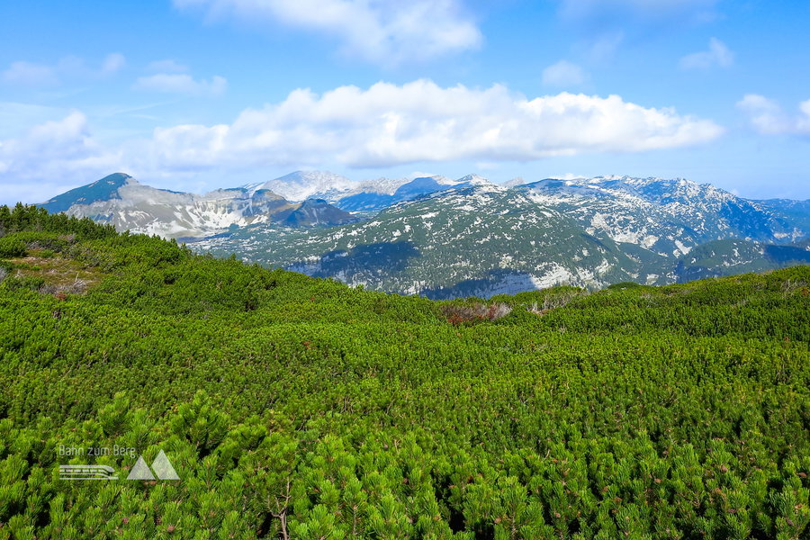 Blick zum Toten Gebirge. Foto: Martina Friesenbichler