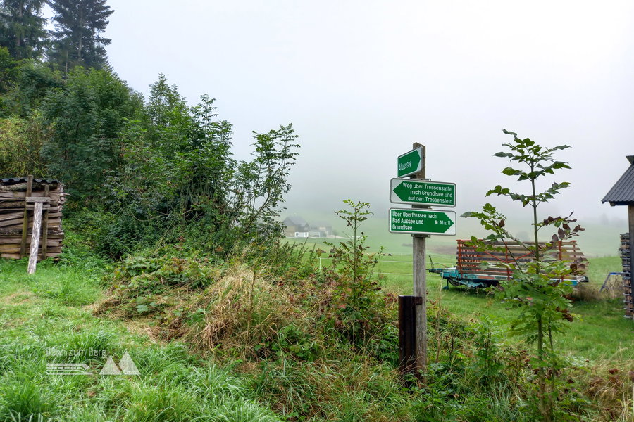 Wegweiser zum Tressensattel. Für mich geht es links weiter. Foto: Martina Friesenbichler