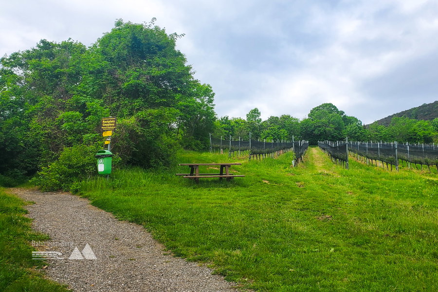 Rastplatz Geyplesz – hier geht es links entlang vorbei an der Beschilderung. Foto: Linda Prähauser