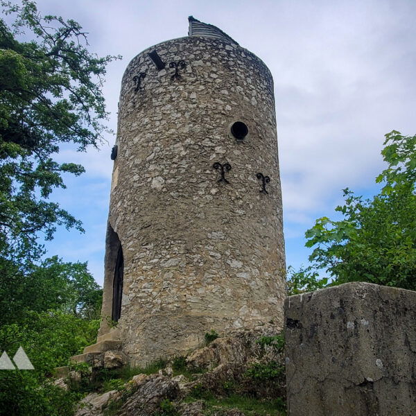 Blick auf die Wilhelmswarte. Hinter der Warte gehe ich einen steileren Weg hinunter Richtung Anninger Schutzhaus. Foto: Linda Prähauser