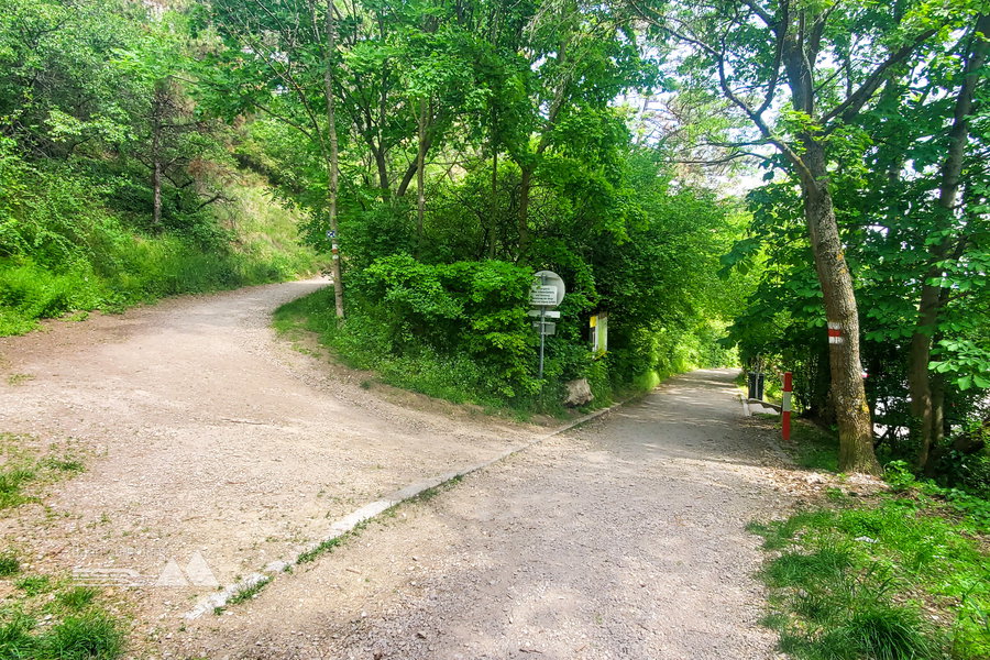 Abschnitt kurz vor dem Parkplatz beim Waldgasthof Bockerl – hier geht es die Straße geradeaus hinunter. Foto: Linda Prähauser