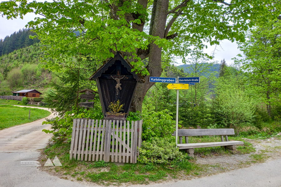 Beim Marterl in Kalch folge ich der linken Forststraße in den Kaiblinggraben. Foto: Martina Friesenbichler