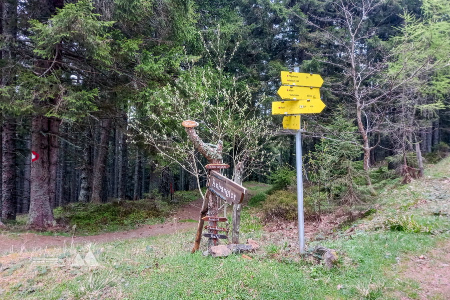 Weggabelung beim Anhangtor. „Raftl“ erinnert mich irgendwie an meine Kindheit, auch wenn ich es als Ranftl kenne: „Zu einem guten Speck gehört ein Ranftl Fett“. Foto: Martina Friesenbichler