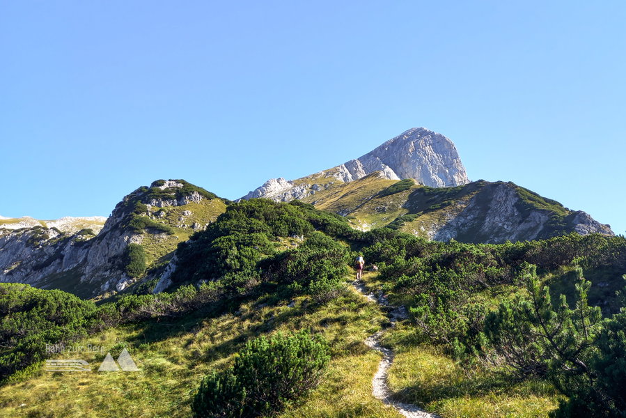 Durch Latschenfelder geht es dem Ziel entgegen. Foto: Martina Friesenbichler