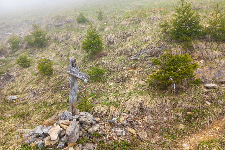 Erste Aufstiegsmöglichkeit zum Schoberstein (steil und felsig). Foto: Martina Friesenbichler