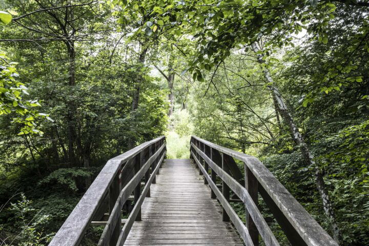 Über die Holzbrücke und dann an den Felsen entlang (Klettergarten). Fotos: Birgit Reiter