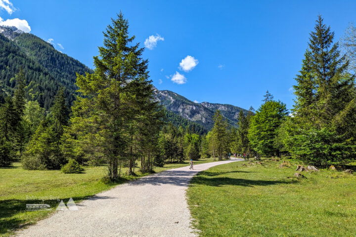 Durch den Wald hinaus ins Freie. Linkerhand ist das Hochkaltermassiv. Foto: Maresa Brandner