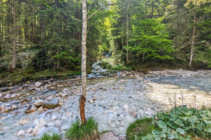 Trampelpfade und wilde Bäche. Für Kinder gibt es hier viel zu entdecken. Foto: Maresa Brandner