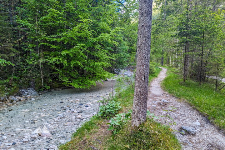 Trampelpfade und wilde Bäche. Für Kinder gibt es hier viel zu entdecken. Foto: Maresa Brandner