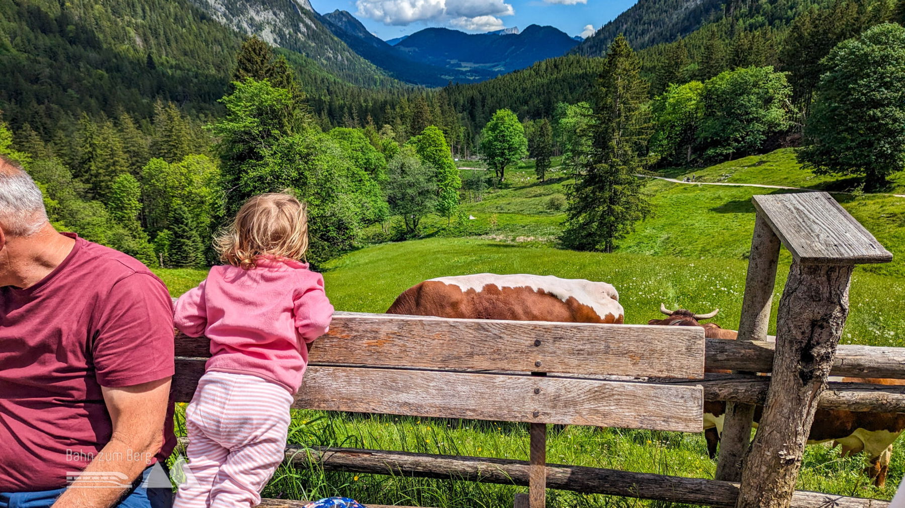 Oben auf der Alm angekommen, mit Brotzeit, Kühen und Blick Richtung Berchtesgaden. Foto: Maresa Brandner