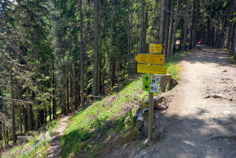 Abstieg über den Hüttecksattel (alpiner Weg). Foto: Martina Friesenbichler