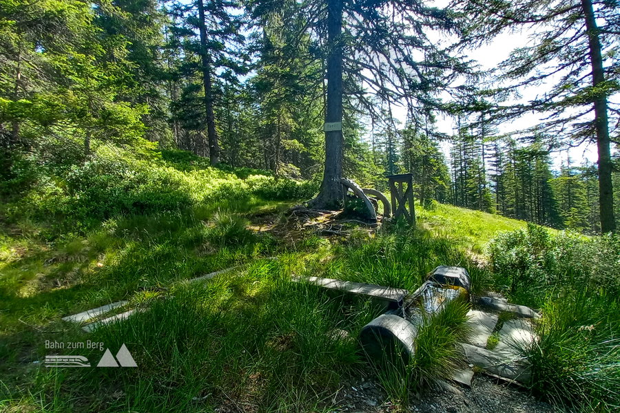 Quelle am Weg auf circa 1.600 Metern. Foto: Martina Friesenbichler