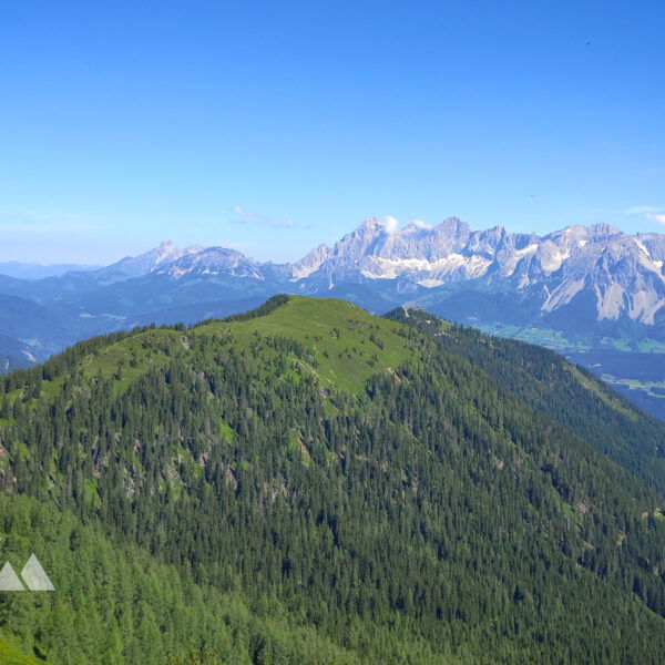 Dachstein. Im Vordergrund das Rossfeld. Foto: Martina Friesenbichler