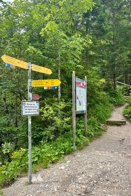 Angesichts der Hitze freuen wir uns über den Abzweiger in die Schleifmühlenklamm, hier wartet eine angenehme Abkühlung auf uns. Foto: Fabian Lindner, POW DE