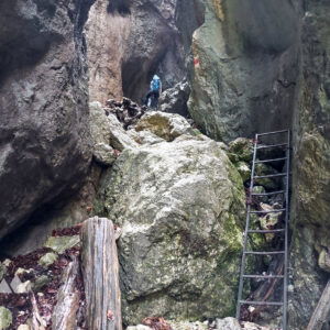 Plaudernd um den Schneeberg herum: BzB-Mitgliederwanderung durch die Weichtalklamm