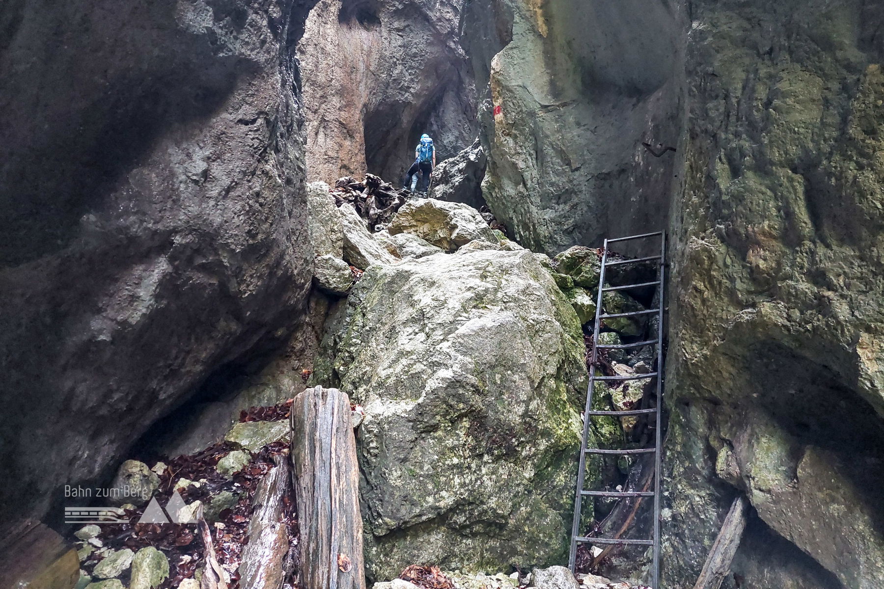 Plaudernd um den Schneeberg herum: BzB-Mitgliederwanderung durch die Weichtalklamm