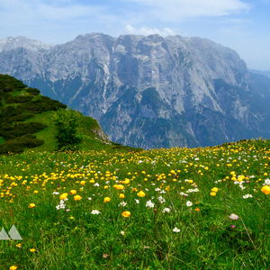 Tristkopf Überschreitung im Hagengebirge