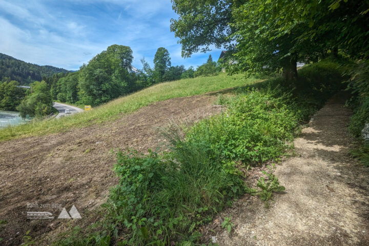 Entlang eines Wiesenwegs in Richtung Kneifelspitze. Fotos: Maresa Brandner