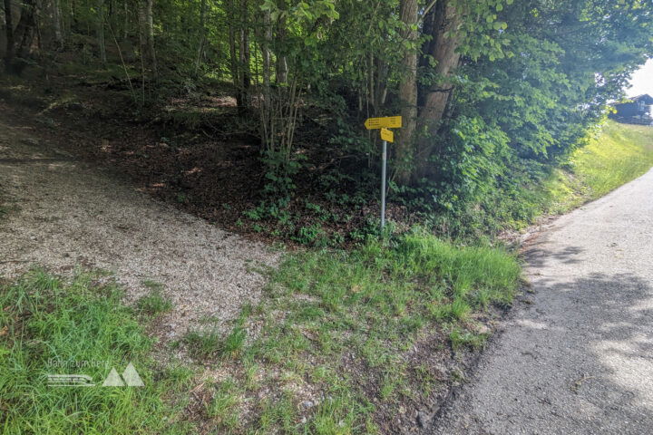 Hier biegt man nach links in einen Waldweg ab. Fotos: Maresa Brandner