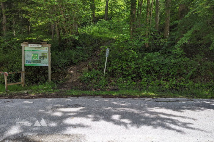 Wieder ein kurzes Aspahltstück, bevor man endgültig nach links auf einen Wanderweg kommt. Fotos: Maresa Brandner