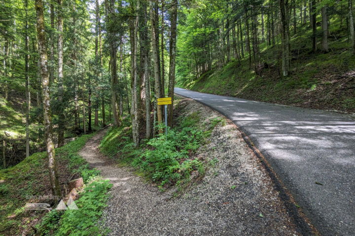 Wieder ein kurzes Aspahltstück, bevor man endgültig nach links auf einen Wanderweg kommt. Fotos: Maresa Brandner