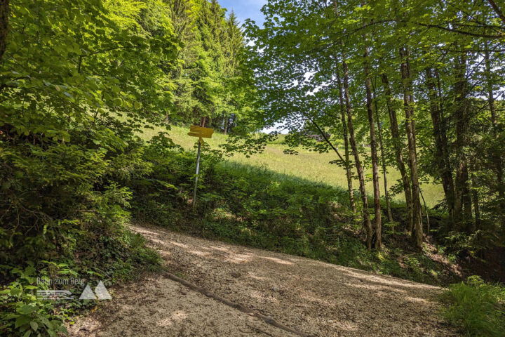 Der Weg führt steil unter einem Bauernhof vorbei. Im Freien wird der Panoramablick in Richtung Göllstock frei. Fotos: Maresa Brandner