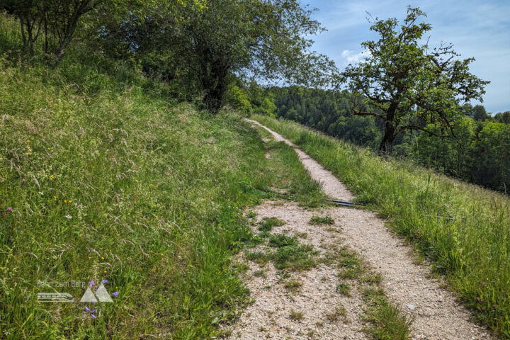 Der Weg führt steil unter einem Bauernhof vorbei. Im Freien wird der Panoramablick in Richtung Göllstock frei. Fotos: Maresa Brandner