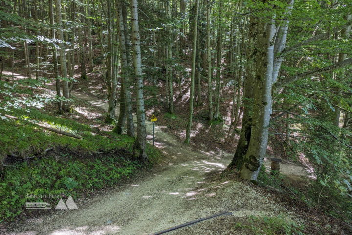Hier biegen wir nach links in Richtung “Kneifelspitz-Rundweg” ab. Fotos: Maresa Brandner