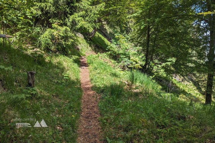 Der Weg führt ohne großen Höhenverlust oder -gewinn malerisch an der Kneifelspitz-Ostseite entlang. Fotos: Maresa Brandner
