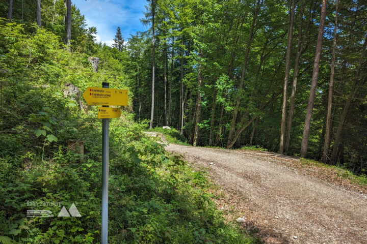 Nach einem kurzen Treppenstück führt der Weg über den breiten Forstweg weiter, bis nach rechts ein Weg in Richtung Kugelmühle abzweigt. Fotos: Maresa Brandner