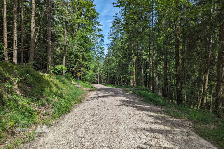 Nach einem kurzen Treppenstück führt der Weg über den breiten Forstweg weiter, bis nach rechts ein Weg in Richtung Kugelmühle abzweigt. Fotos: Maresa Brandner