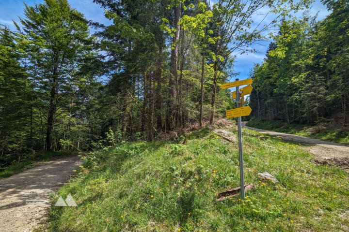 Nach einem kurzen Treppenstück führt der Weg über den breiten Forstweg weiter, bis nach rechts ein Weg in Richtung Kugelmühle abzweigt. Fotos: Maresa Brandner