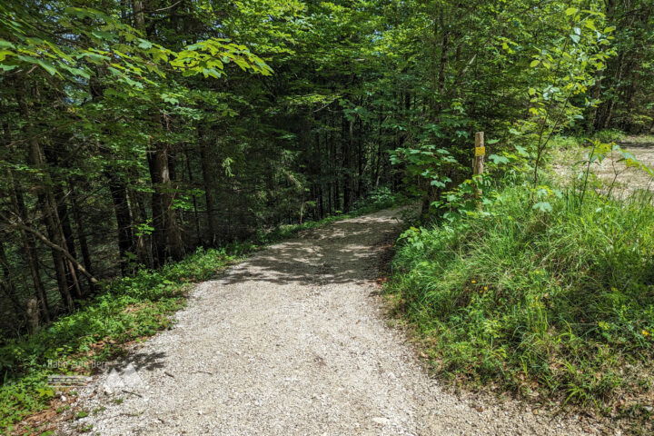 Über den Bachwaldweg geht es hinab zur Kugelmühle. Fotos: Maresa Brandner