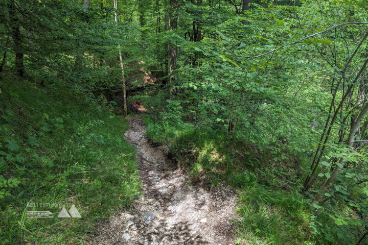 Über den Bachwaldweg geht es hinab zur Kugelmühle. Fotos: Maresa Brandner